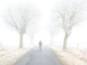 winter 1
