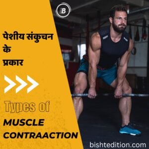 Types Of Muscles Contraction 1 Types of Muscle Contraction