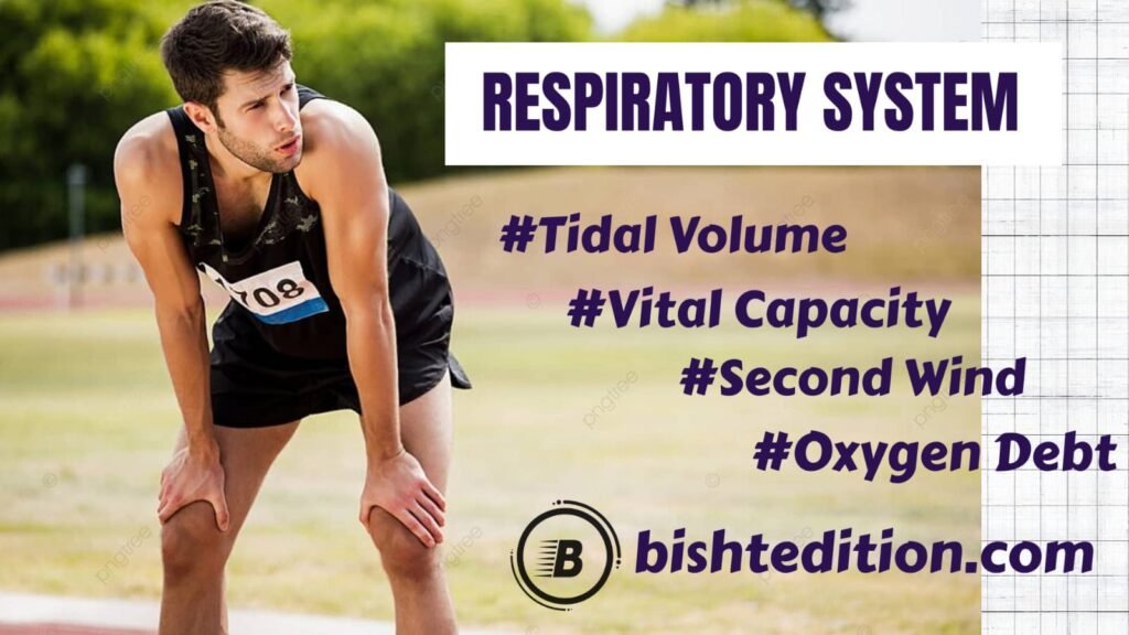 Respiratory System 1 IMG 20251022 WA0000