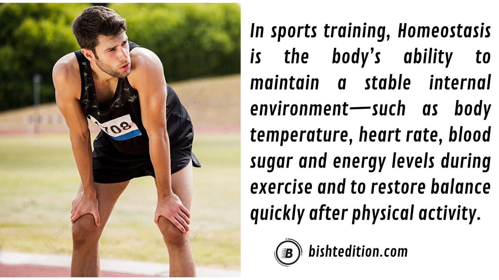 Sports Ttraining, Load And Periodization 4 Green Grey Modern Bold Sport Presentation 3