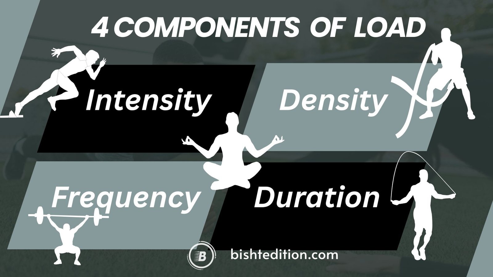 Sports Ttraining, Load And Periodization 6 Components of load